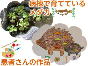 病棟で育てているメダカ 患者さんの作品